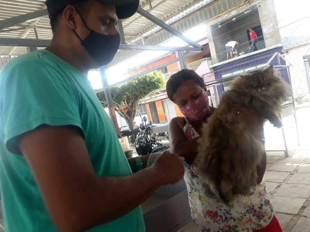Vacinação Antirrábica: Três mil cães e 650 gatos já  foram imunizados durante a campanha em Jaguarari